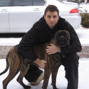 Meet your Posher, Mario